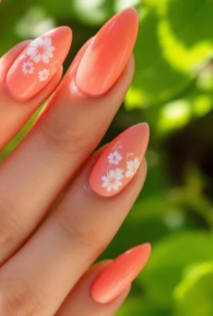 Screenshot 2025 02 16 at 5.05.24 PM